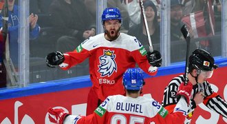 Hynek Zohorna se přesunul od dříčů k Hertlovi: Beru každou roli