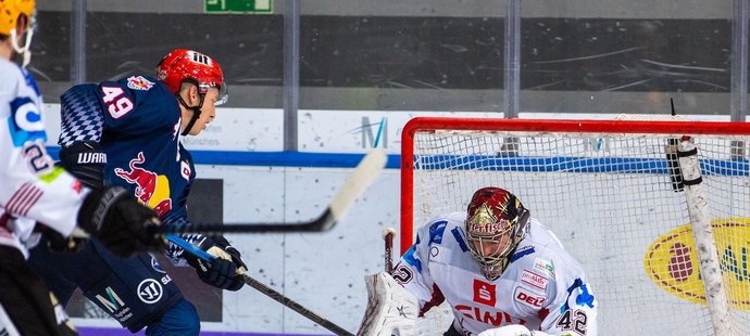 Tomáš Pöpperle je už třetí sezonu spokojený v ústraní jako jednička Fischtown Pinguins