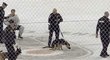 Policejní pes kálí na logo Philadelphia Flyers