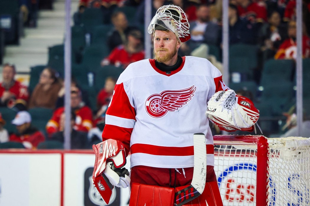 Švédský gólman Magnus Hellberg v dresu Detroit Red Wings