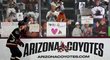 Fanoušci Arizony se loučí s Coyotes, které čeká stěhování