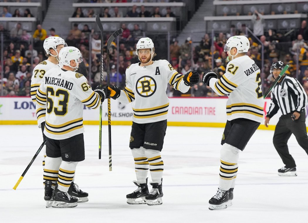 Boston Bruins se radují z gólu českého útočníka Davida Pastrňáka