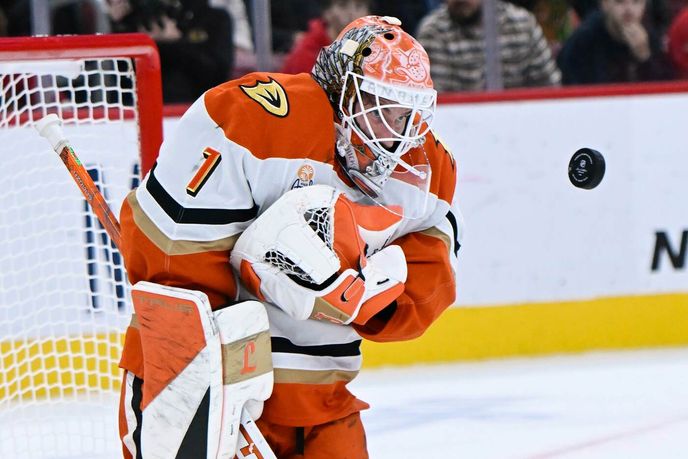 Český gólman Lukáš Dostál Český gólman Lukáš Dostál