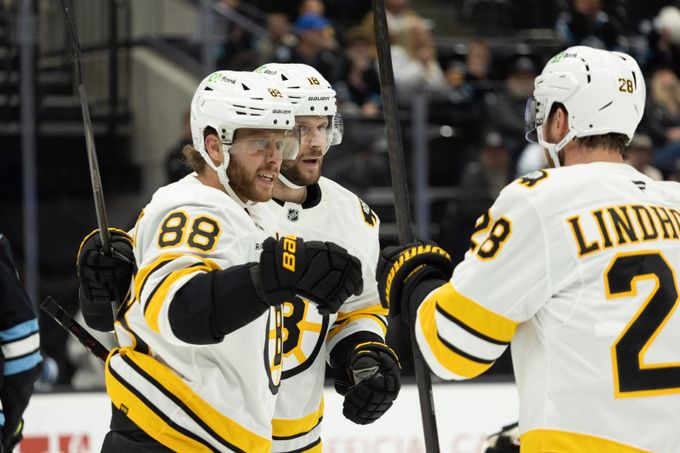 NHL ONLINE: Pastrňák hostí Nečase. Dostál proti Tampě Bay, Kulich hraje v Torontu NHL ONLINE: Pastrňák hostí Nečase. Dostál proti Tampě Bay, Kulich hraje v Torontu