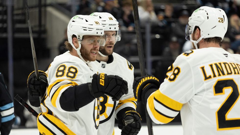 Hvězda Bostonu David Pastrňák se raduje z gólu s českým parťákem Pavlem Zachou