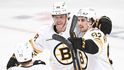 Hokejisté Bostonu oslavují trefu Davida Pastrňáka