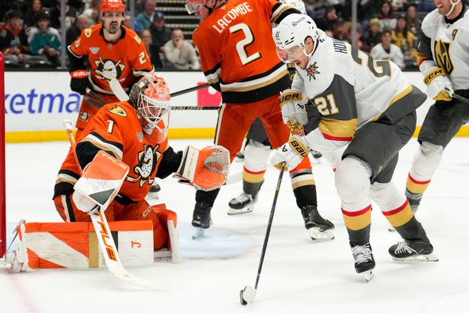 Noc českých gólmanů za oceánem. Dostál? Nejlepší brankář Česka, prohlásil Hertl Noc českých gólmanů za oceánem. Dostál? Nejlepší brankář Česka, prohlásil Hertl