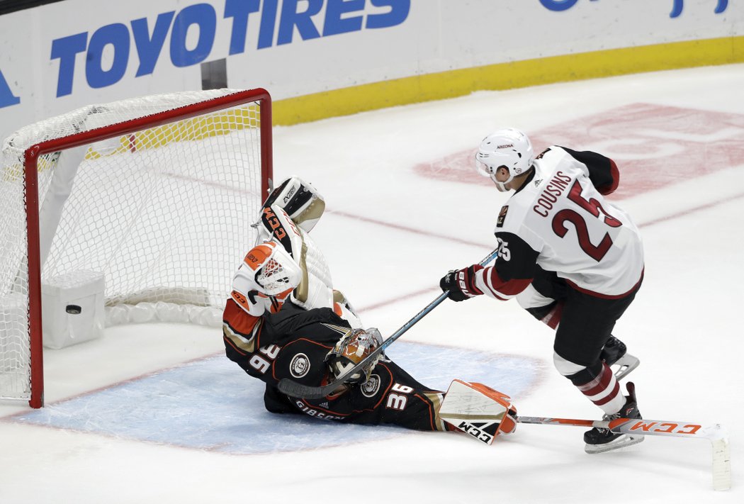 Nick Cousins jako jediný v nájezdech uspěl a vystřelil Coyotes výhru nad Anaheimem