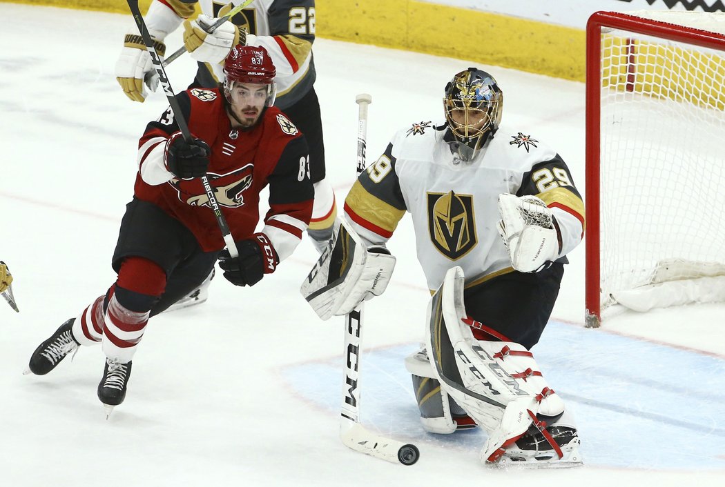 Marc-Andre Fleury pochytal 29 ran Coyotes