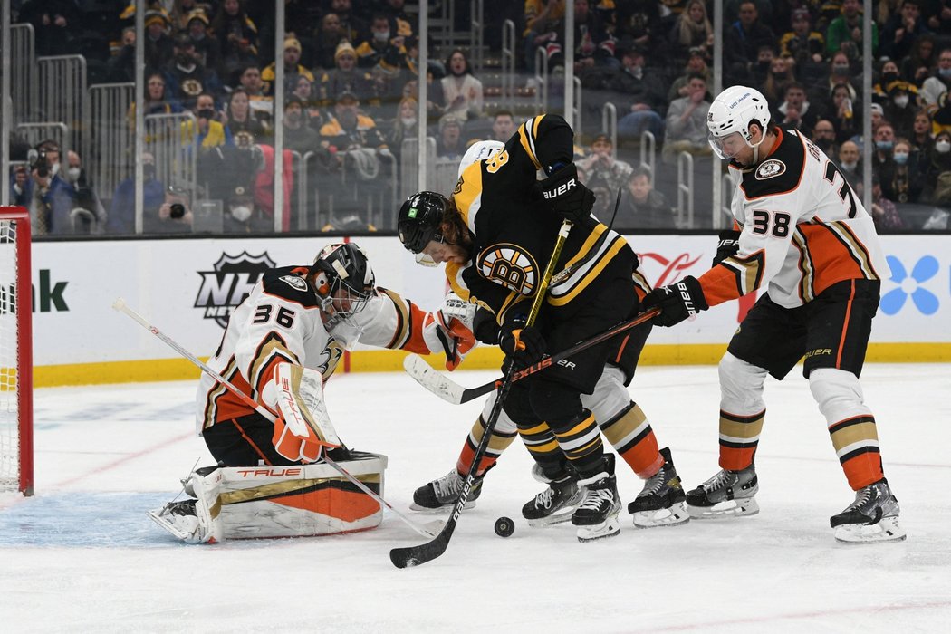 Český hokejový útočník David Pastrňák v utkání Bostonu proti Anaheimu