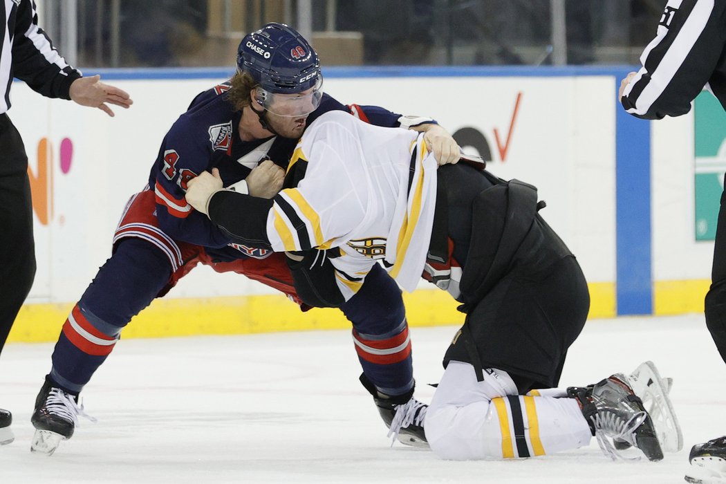 Nick Ritchie a Brendon Lemieux se poprali