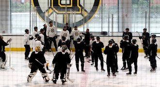 Pastrňák a Kaše znovu chyběli na tréninku Bruins. Nejsou fit, řekl kouč