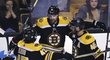 Rick Nash slaví první gól za Bruins, nahrál mu na něj David Krejčí