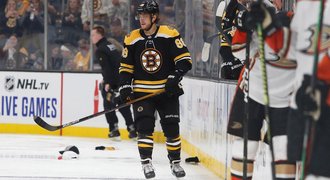 V Bostonu pějí ódy na Pastrňáka. Je úchvatný, zaznělo v kabině Bruins