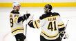 Hokejisté Bostonu po jednoznačné výhře nad Buffalem, David Pastrňák se raduje s gólmanem Halákem