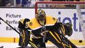 Gólman Malcolm Subban v dresu Bostonu