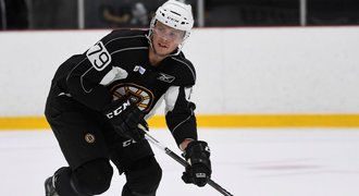 Zbořil se blíží k NHL. Mezi mladými se stává lídrem, chválí vedení Bruins