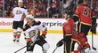 Ondřej Kaše přispěl ve středečním utkání NHL krásným gólem k výhře Anaheimu 4:0 na ledě Calgary.