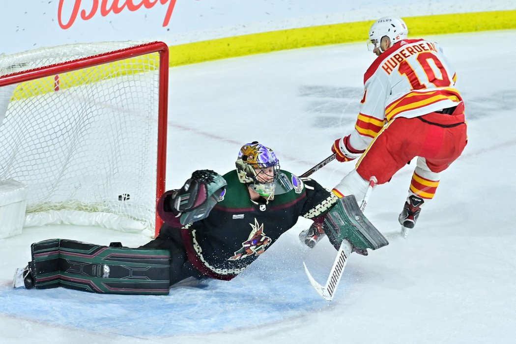 Karel Vejmelka dostal od Calgary šest branek