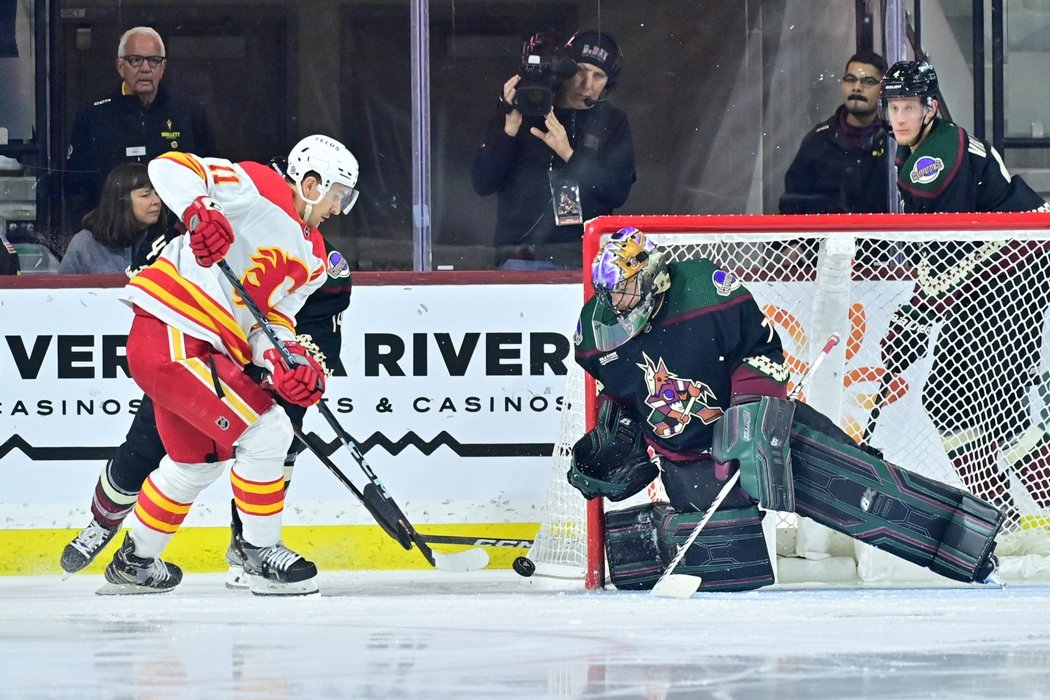 Karel Vejmelka dostal od Calgary šest branek