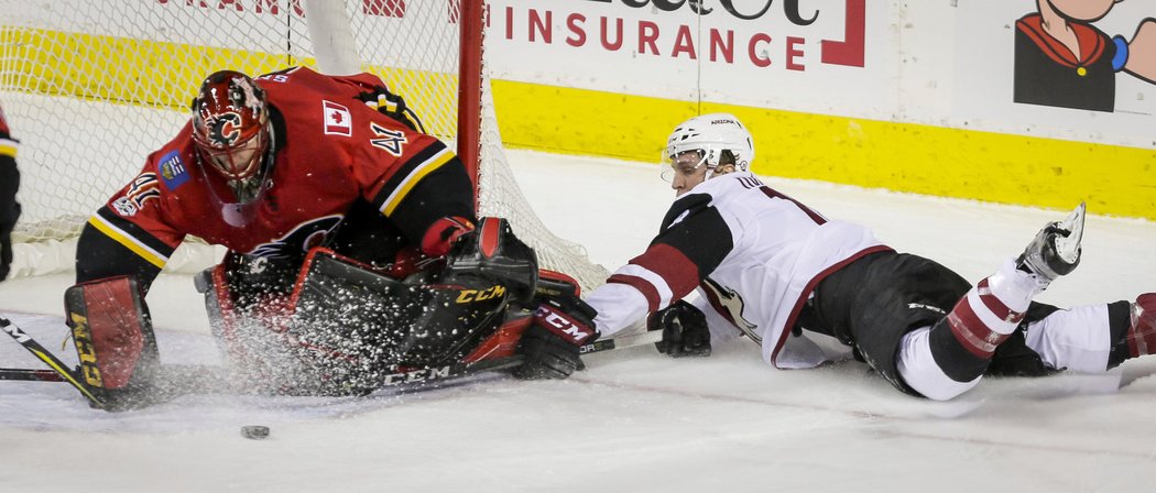 Mike Smith zářil proti Arizoně a připsal si druhou nulu sezony.