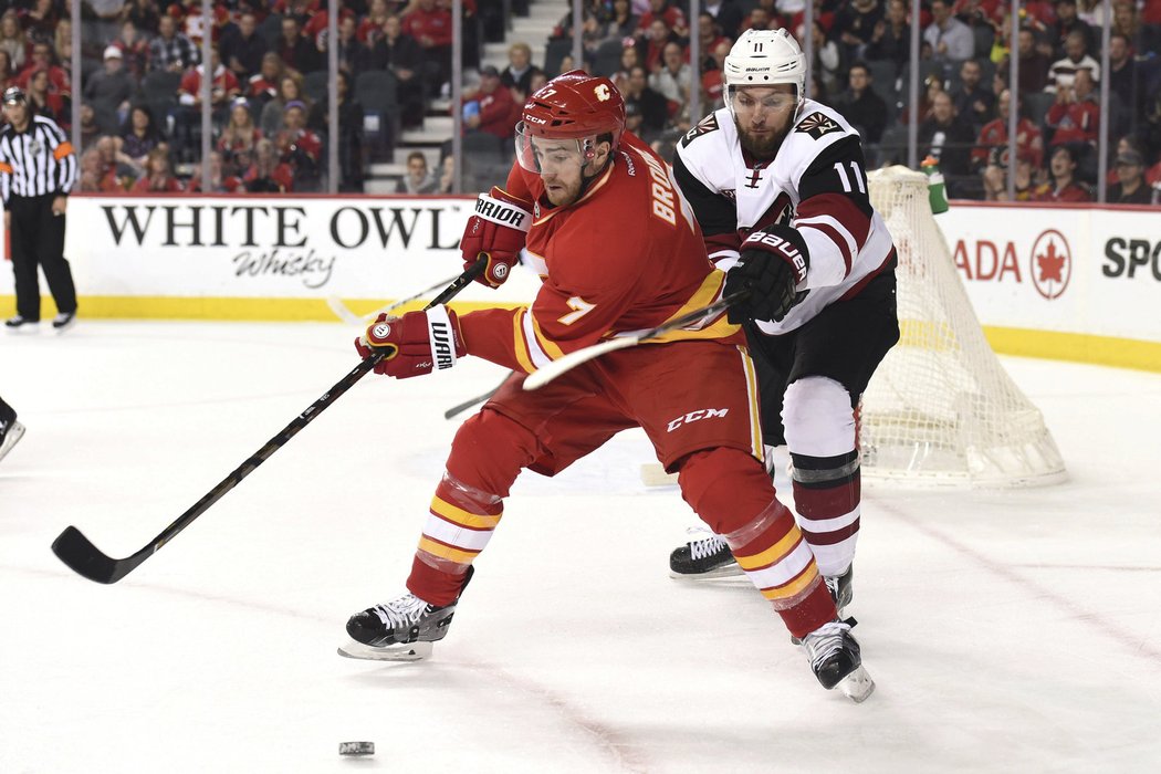 Martin Hanzal proti Calgary uzavřel skóre zápasu