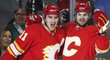 Michael Frolík v NHL zpečetil gólem do prázdné branky výhru hokejistů Calgary 3:1 v Torontu. Flames uspěli po třech porážkách.
