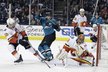 David Rittich zastavuje další pokus Sharks