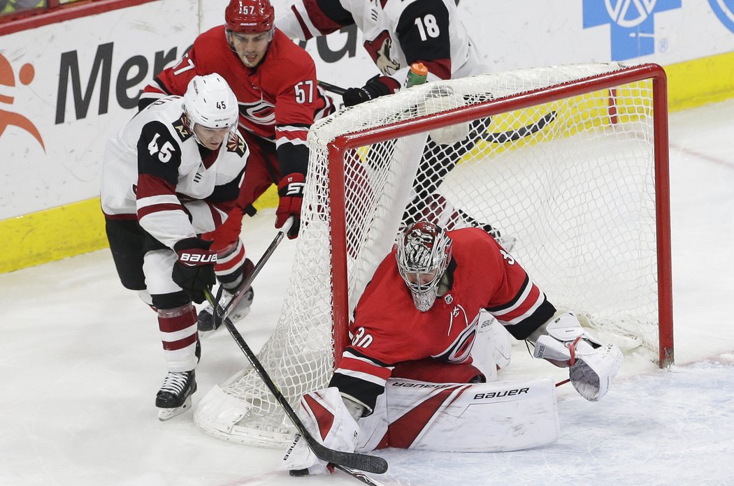 Celkem si Cam Ward připsal 28 zákroků