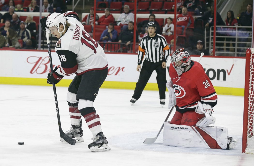 Cam Ward se snaží připravit na akci Christiana Dvoraka