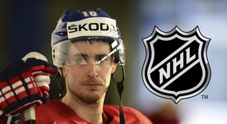 Červenka do Švýcarska? Prioritou je stále NHL, řekl agent