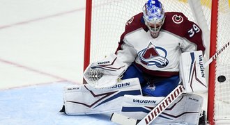 Nečas pomohl k výhře Caroliny, Francouz zpět: Krása být znovu v NHL