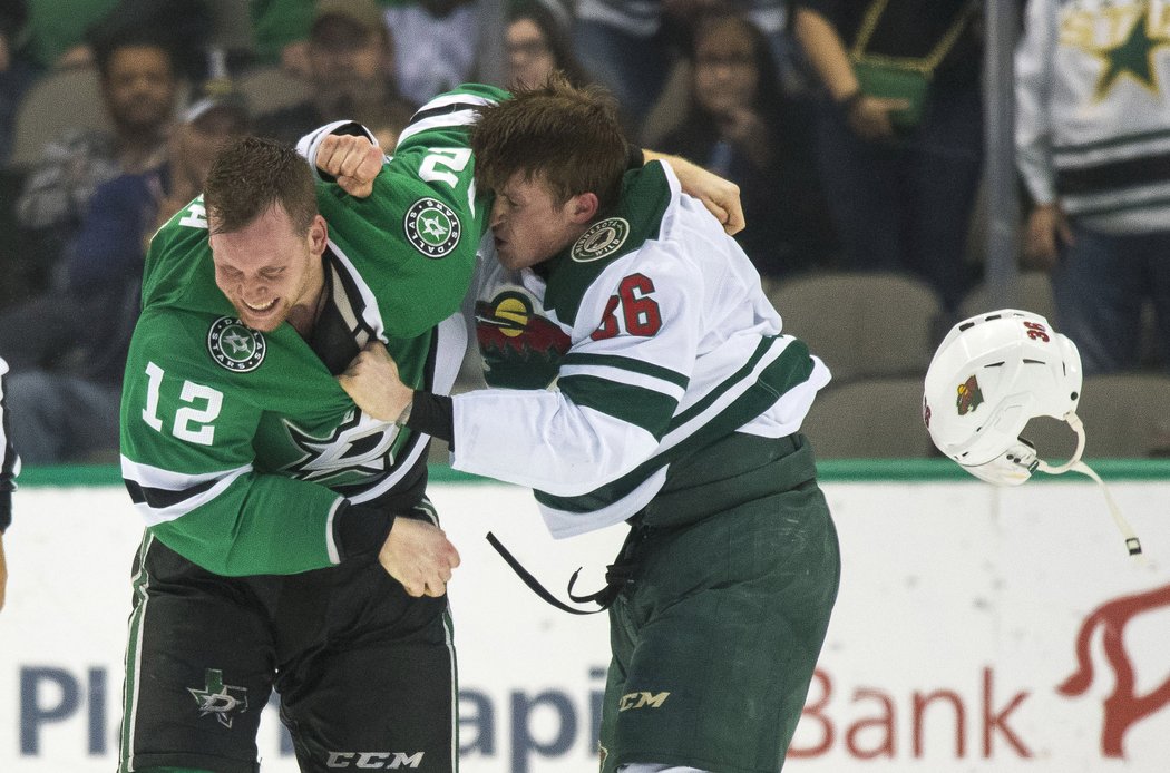 Radek Faksa se v utkání nepohodl s Nickem Seelerem