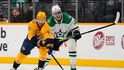 Radek Faksa v utkání proti Nashvillu