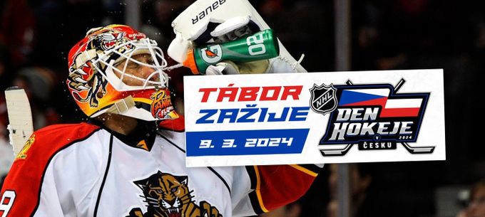 Den hokeje: V akci i Vokoun nebo Dvořák. Příznivci si „sáhnou“ na NHL Den hokeje: V akci i Vokoun nebo Dvořák. Příznivci si „sáhnou“ na NHL
