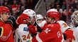 Během hromadné bitky v duelu Red Wings a Flames rozhodčí rozdali v utkání 141 trestných minut
