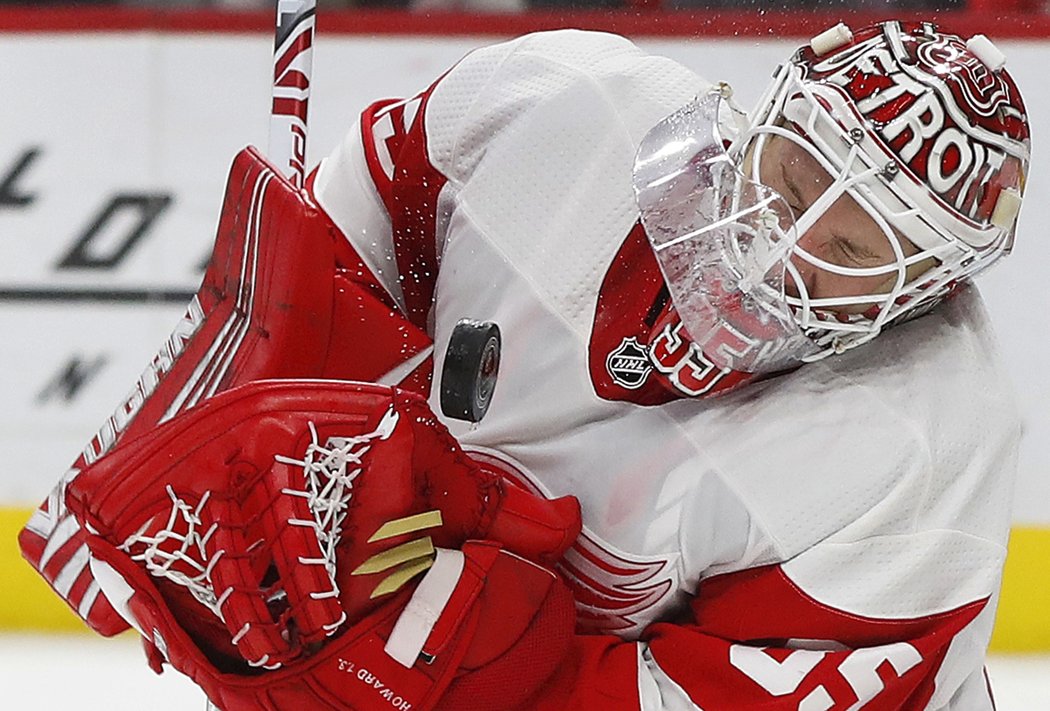 Brankář Detroitu Jimmy Howard a jeho úspěšný zákrok.