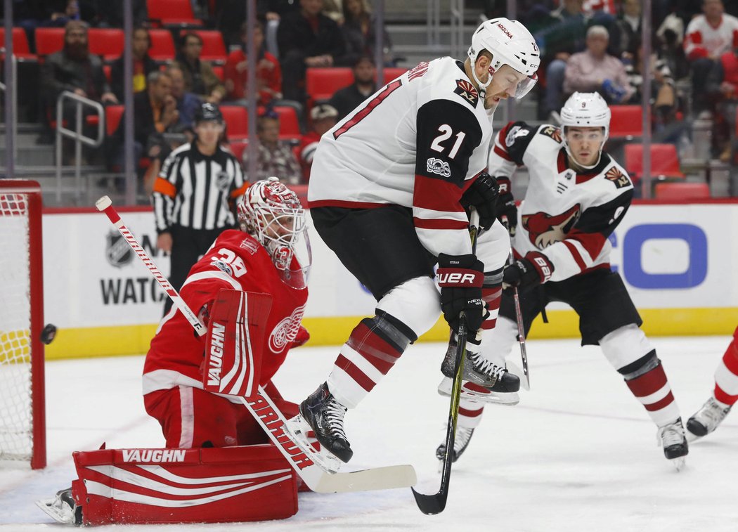 Derek Stepan se snaží clonit před Jimmy Howardem z Detroitu