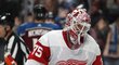 Jimmy Howard zažívá skutečně těžký ročník