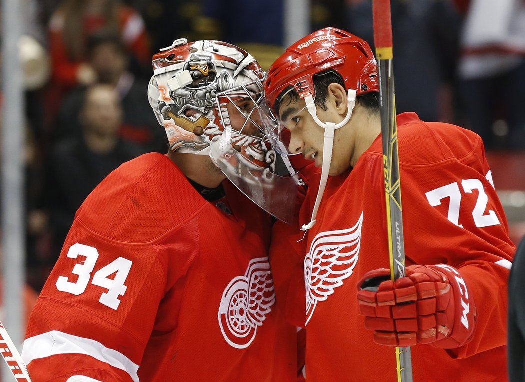 8. Detroit Red Wings Aktuální hodnota: 600 milionů dolarů