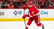 Filip Zadina se gólem podílel na výhře Detroitu nad Philadelphií