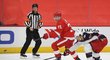 Dylan Larkin byl před startem sezony jmenován novým kapitánem Detroitu