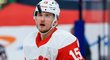 Jakub Vrána lítá v průšvihu, Detroit ho zařadil do asistenčního programu NHL a NHLPA, který pomáhá hráčům a jejich rodinám v případě psychických problémů, závislosti na alkoholu a návykových látkách