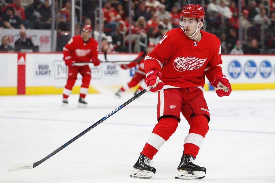 Vedení Detroit Red Wings chce v příštích sezonách stavět mužstvo i na českém útočníkovi Filipovi Zadinovi