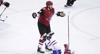 Další doping v NHL! Obránce Arizony přijde o 20 zápasů