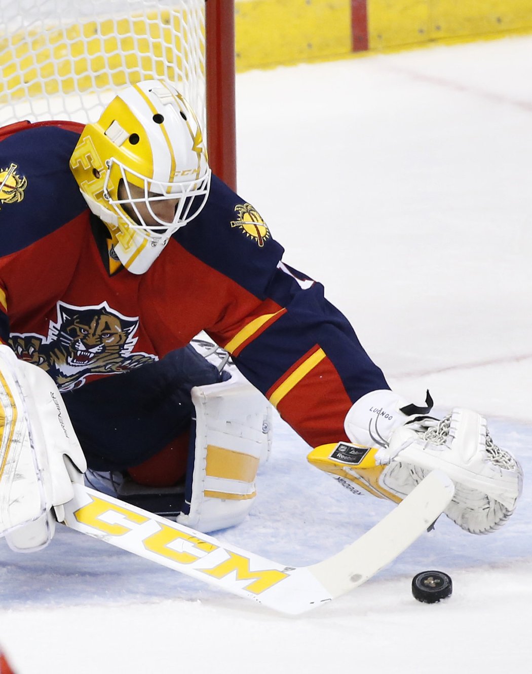 Luongo z brány hlídal výhru Panthers.