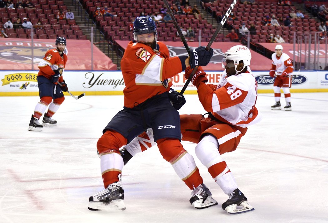 Radko Gudas na ledě umí sjednat pořádek