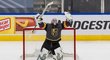 Robin Lehner podepsal s Vegas Golden Knights pětiletou smlouvu na 25 milionů dolarů. Do klubu přišel v únoru z Chicaga a po restartu sezony NHL po koronavirové pauze vytlačil z pozice týmové jedničky Marca-Andrého Fleuryho.