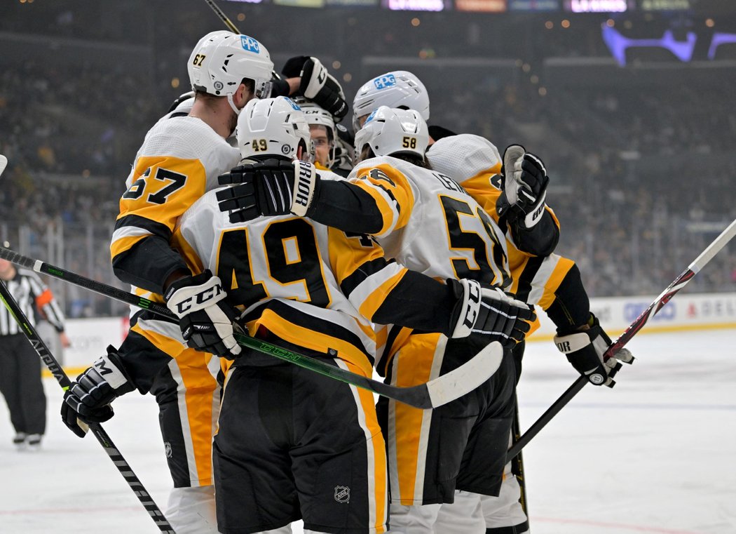 Hokejisté Pittsburghu se radují z gólu Radima Zohorny