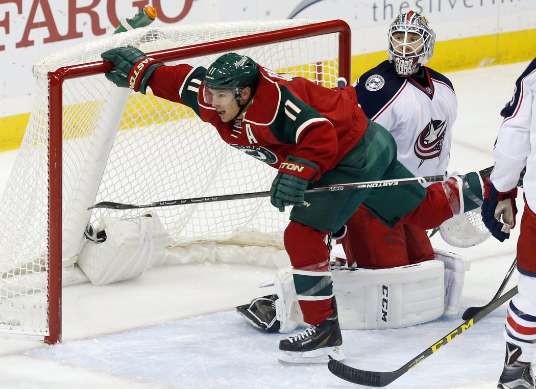 17. Minnesota Wild Aktuální hodnota: 380 milionů dolarů